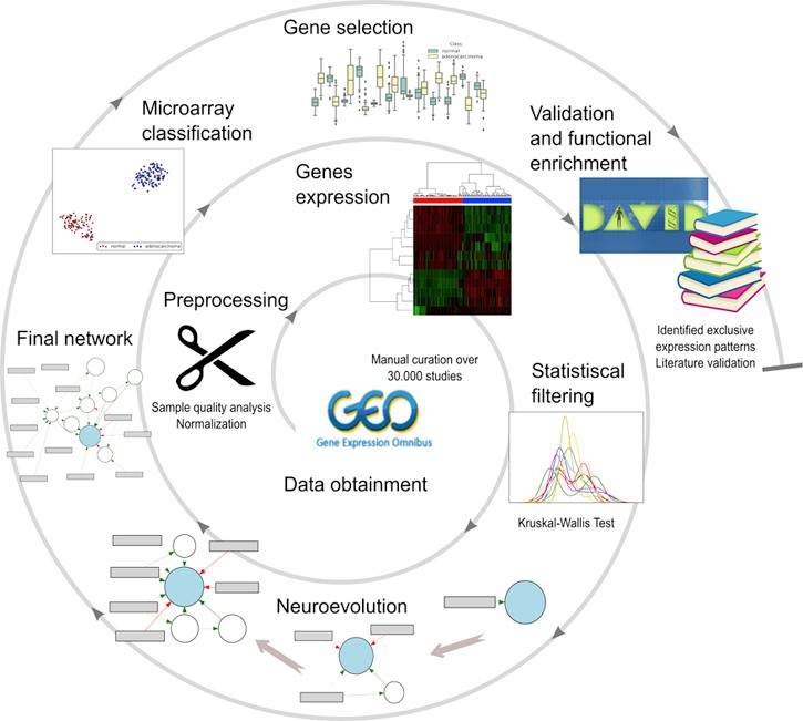 Neuroevolution as a Tool for Microarray Gene Expression Pattern Identification in Cancer Research