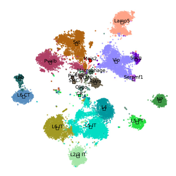 Assessing feature scorer results on high-dimensional datasets with t-SNE